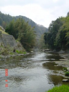 blog-2006-09-12-DSC00008