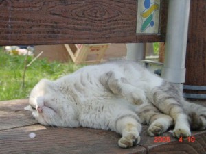 blog-2006-09-12-DSC00031