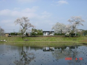 blog-2006-09-12-DSC00041