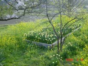 blog-2006-09-12-DSC00050