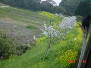 blog-2006-09-12-DSC00051