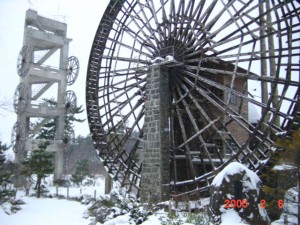 blog-2006-11-05-DSC00062