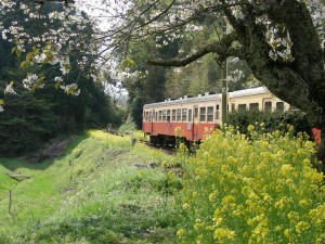 blog-2007-04-09-DSCN0063