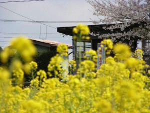 blog-2007-04-09-DSCN0076