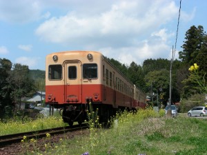 blog-2007-04-09-DSCN0103