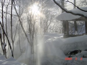 blog-2007-04-27-DSC00015