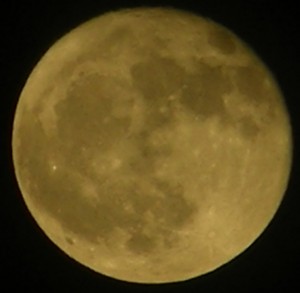 blog-2007-05-03-2-moon