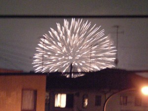 blog-2007-08-25-HANABI