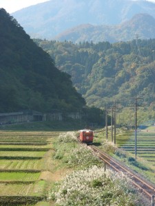 blog-2007-11-04-2-DSCN0466