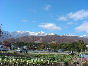 blog-2007-11-04-2-DSCN0475