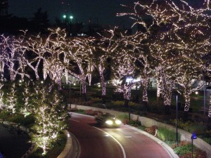 blog-2007-11-19-DSCN0546