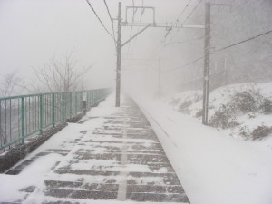 blog-2008-01-13-DSCN0671