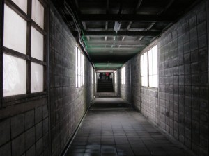 blog-2008-01-13-DSCN0684