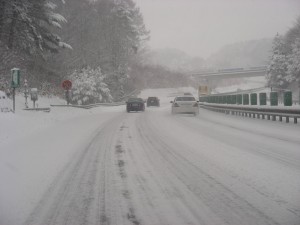 blog-2008-02-03-DSCN0703