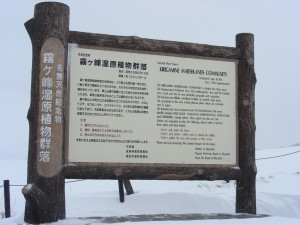 blog-2008-02-03-DSCN0715