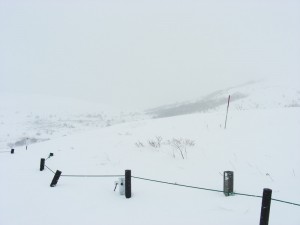 blog-2008-02-03-DSCN0718