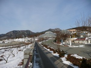 blog-2008-02-12-P1010027