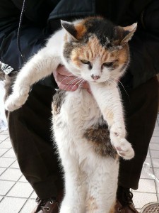 blog-2008-02-12-P1010035