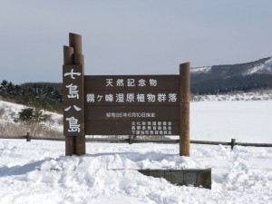 blog-2008-02-12-P1010048