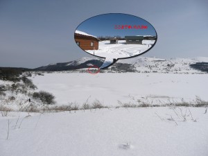 blog-2008-02-12-P1010050