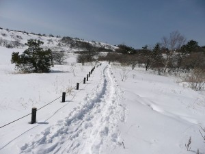 blog-2008-02-12-P1010056