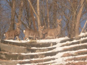 blog-2008-02-12-P1010088