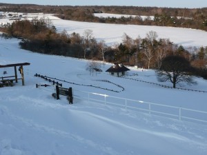 blog-2008-02-12-P1010090