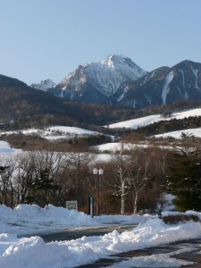 blog-2008-02-12-P1010091