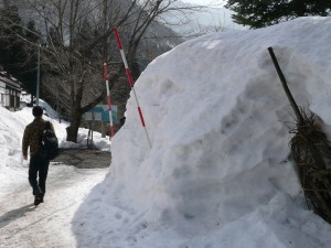 blog-2008-03-16-P1010103