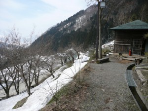 blog-2008-03-16-P1010106