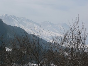 blog-2008-03-16-P1010107