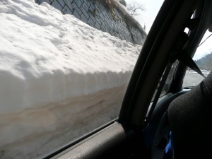 blog-2008-03-16-P1010112