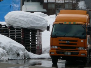 blog-2008-03-16-P1010120