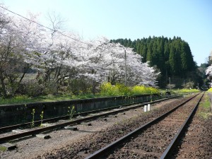 blog-2008-04-13-P1010259