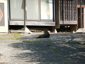 blog-2008-04-13-P1010273