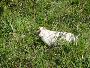 blog-2008-04-13-P1010311