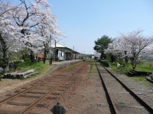 blog-2008-04-13-P1010314