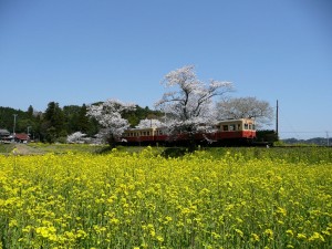 blog-2008-04-13-P1010365