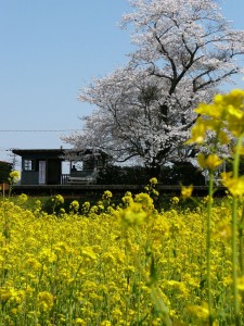 blog-2008-04-13-P1010390