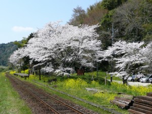 blog-2008-04-13-P1010413