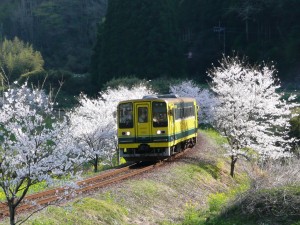 blog-2008-04-13-P1010427