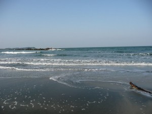 blog-2008-04-13-P1010447