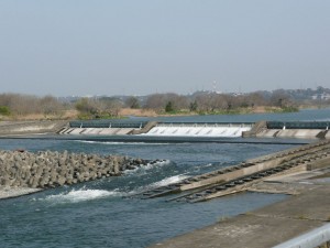 blog-2008-04-20-P1010138