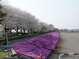 blog-2008-04-20-P1010140