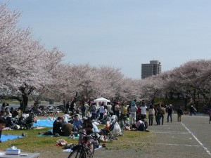 blog-2008-04-20-P1010226