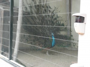 blog-2008-05-05-P1010626