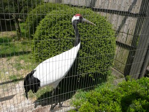 blog-2008-05-05-P1010641