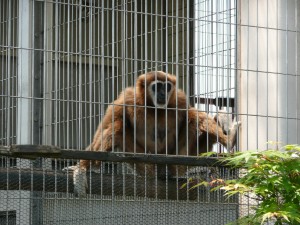 blog-2008-05-05-P1010645