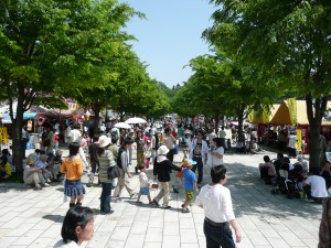 blog-2008-05-05-P1010652