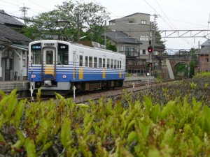 blog-2008-05-05-P1010698